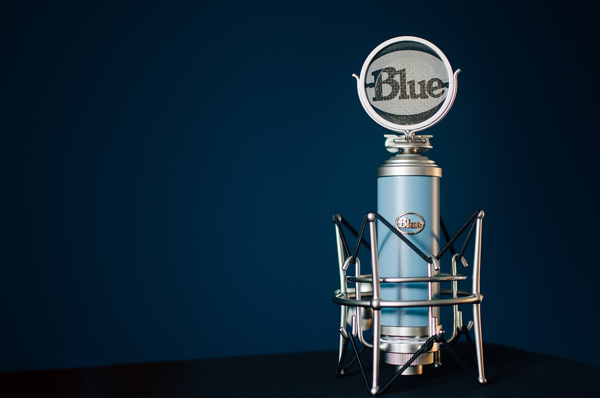Studio condenser microphone