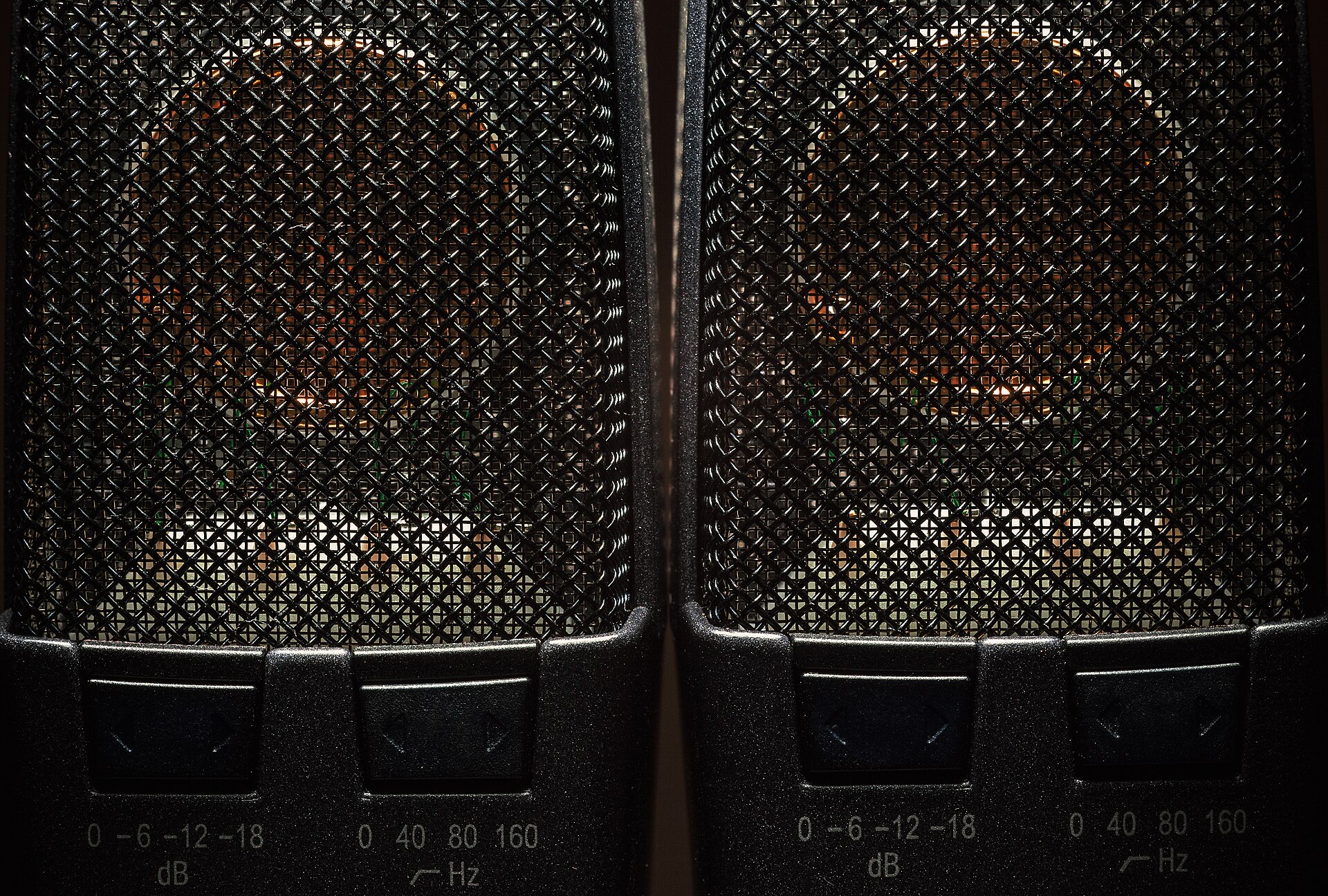 Close view of a studio condenser microphone