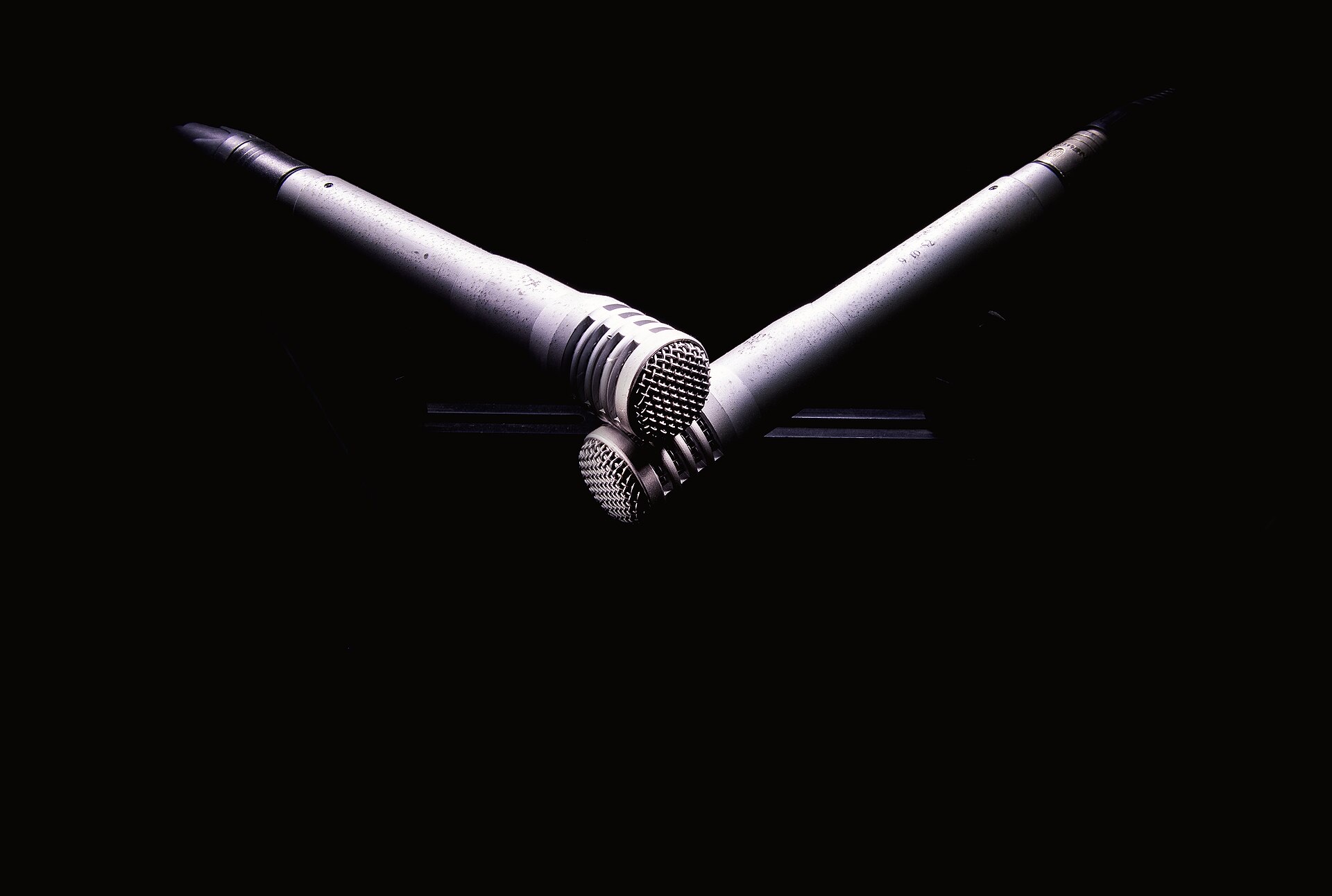 A pair of studio microphones